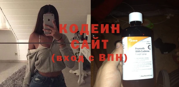 шишки Гусь-Хрустальный
