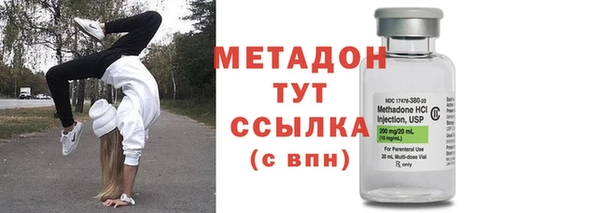 шишки Гусь-Хрустальный