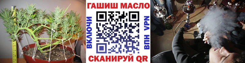 ТГК гашишное масло  Купить закладки  Курчалой 
