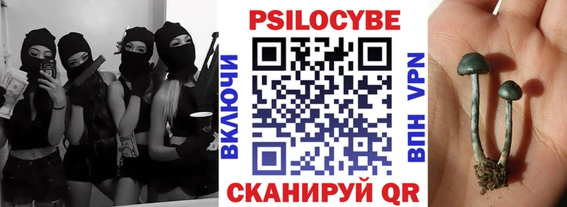 Купить закладки  Курчалой  Псилоцибиновые грибы мицелий 
